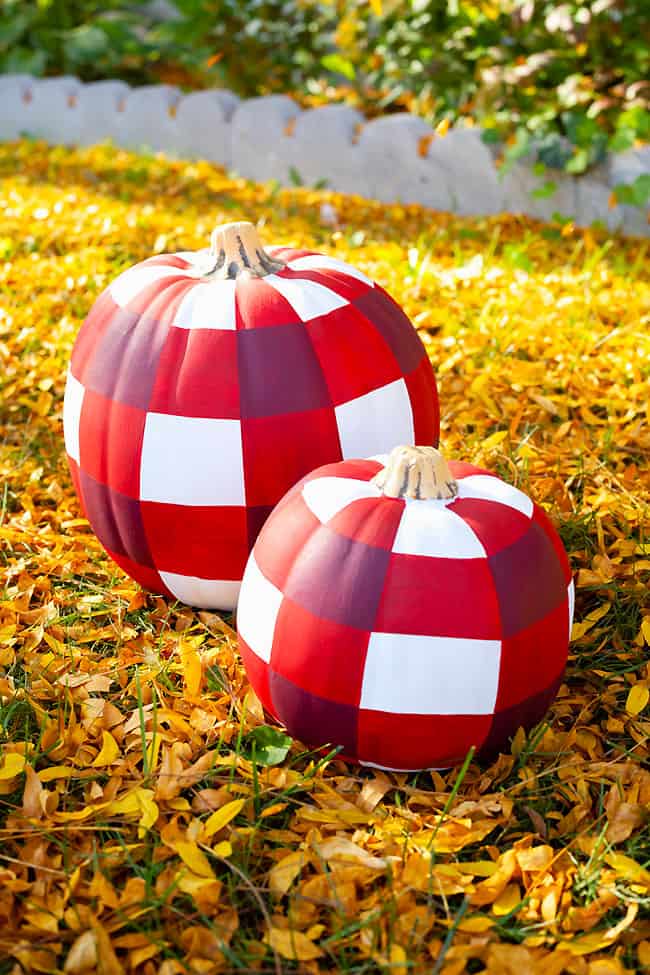 Plaid Pumpkin