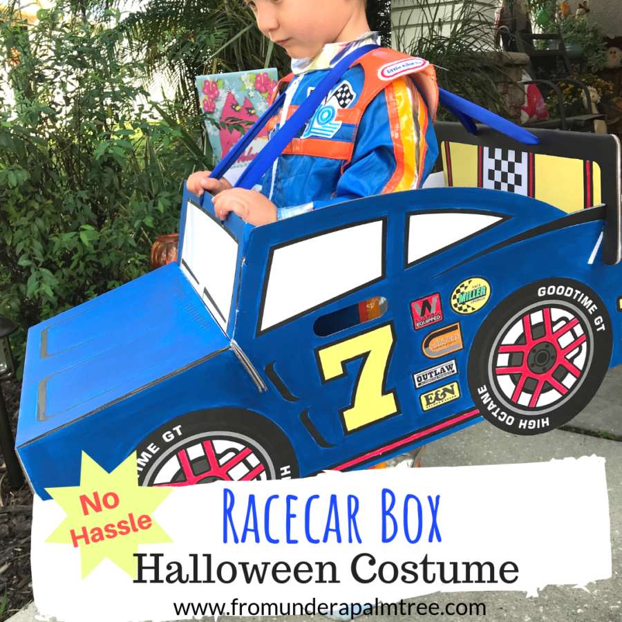 Race Car Box Halloween Costume