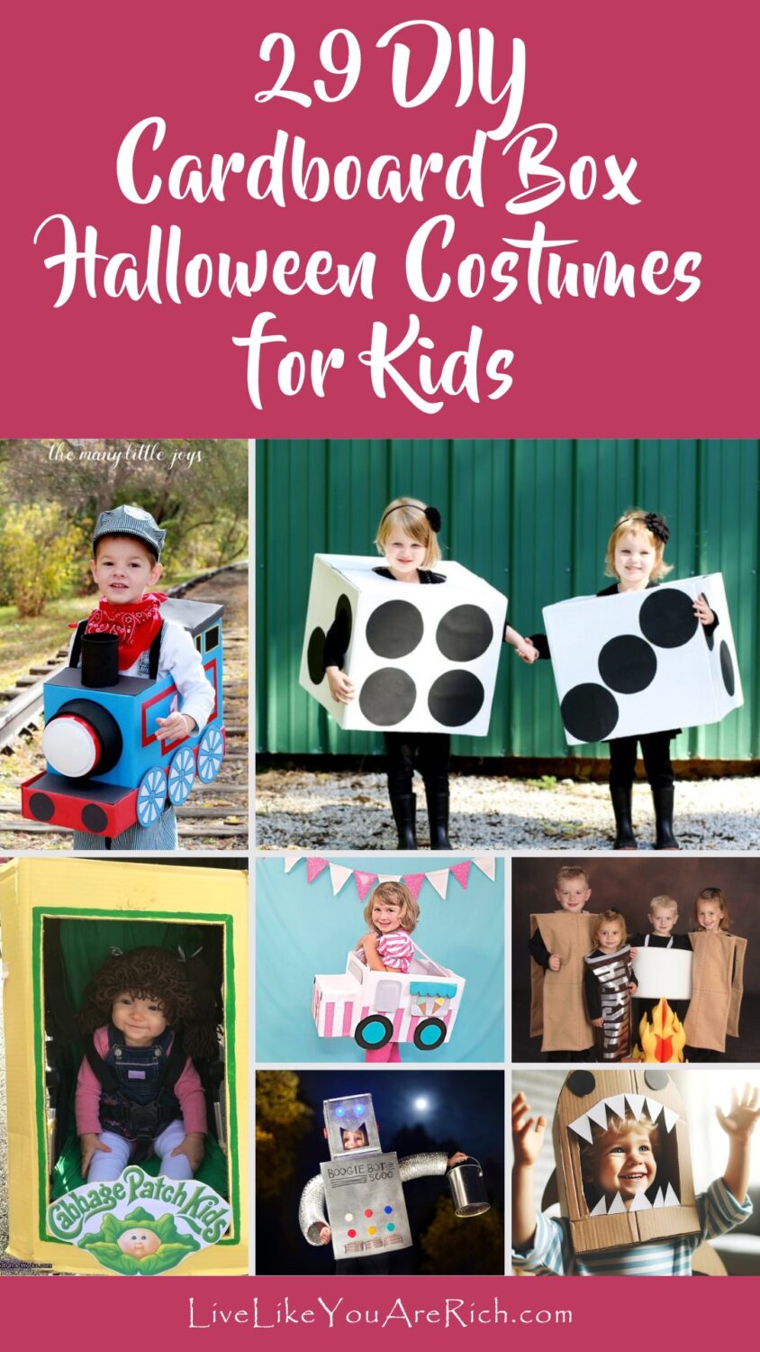 29 DIY Cardboard Box Halloween Costumes for Kids