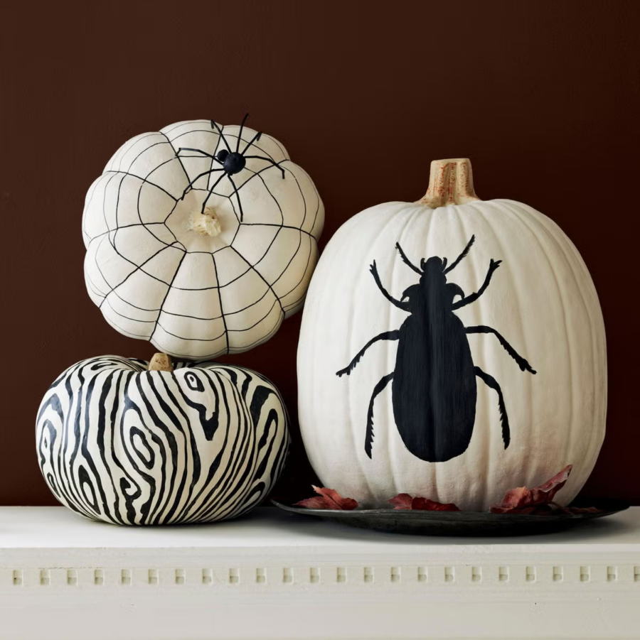 Pumpkin Painting Idea Black and White Nature Drawing