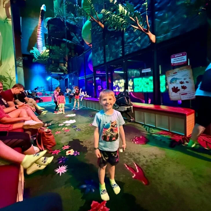 Simple And Quick Dino Party