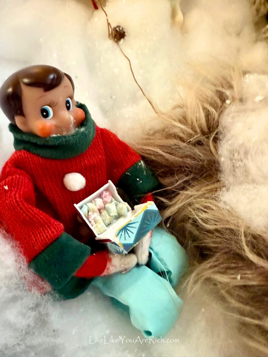 Elf on the Shelf: The Lion, the Witch, and the Wardrobe