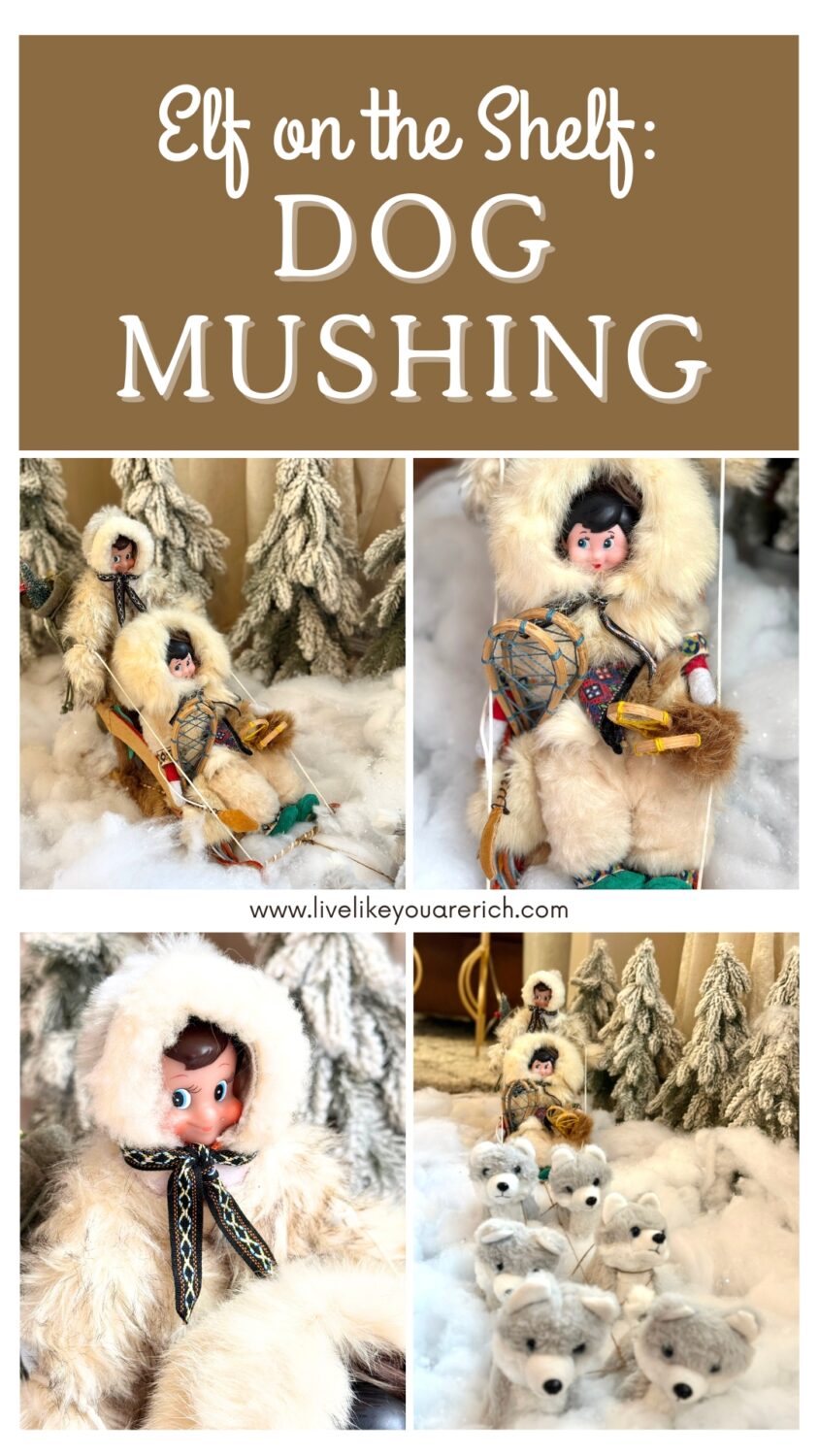 Elf on the Shelf: Dog Mushing