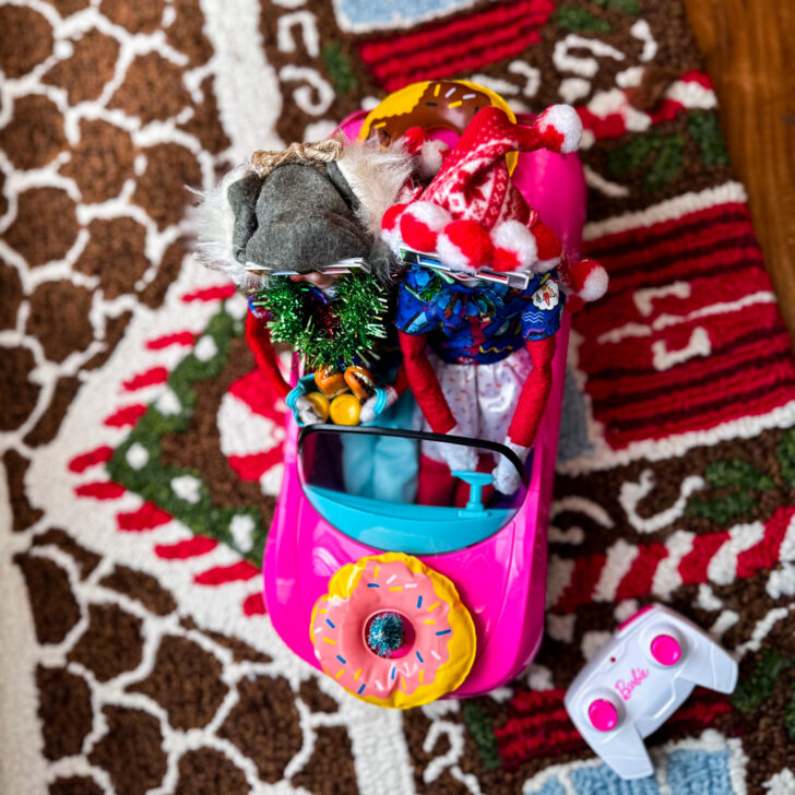 Elf on the Shelf: Road Trippin’