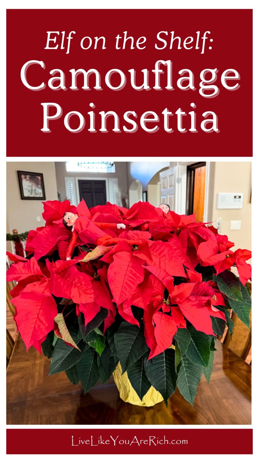 Elf on the Shelf: Camouflage Poinsettia