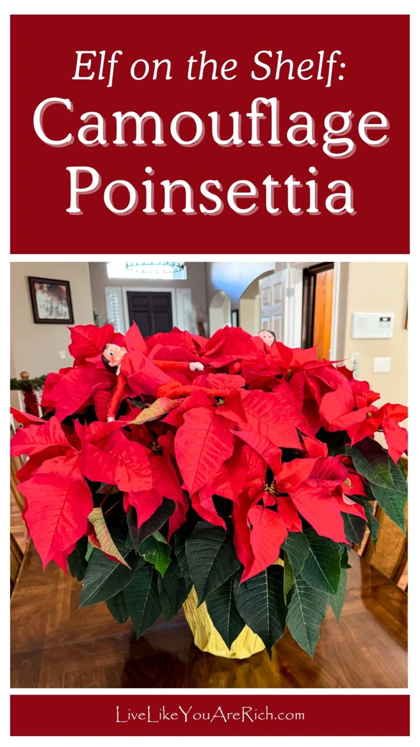 Elf on the Shelf: Camouflage Poinsettia