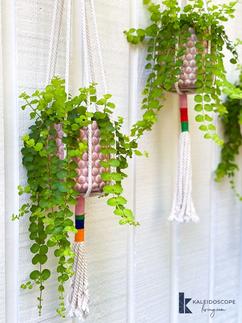DIY Macrame Plant Hanger