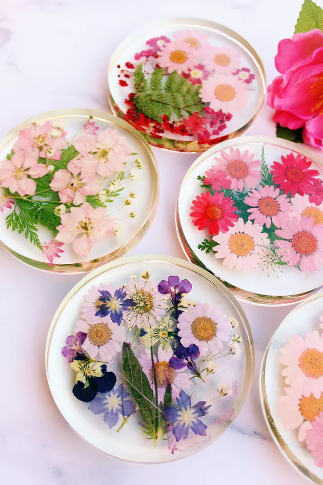 DIY Pressed Flower Coasters