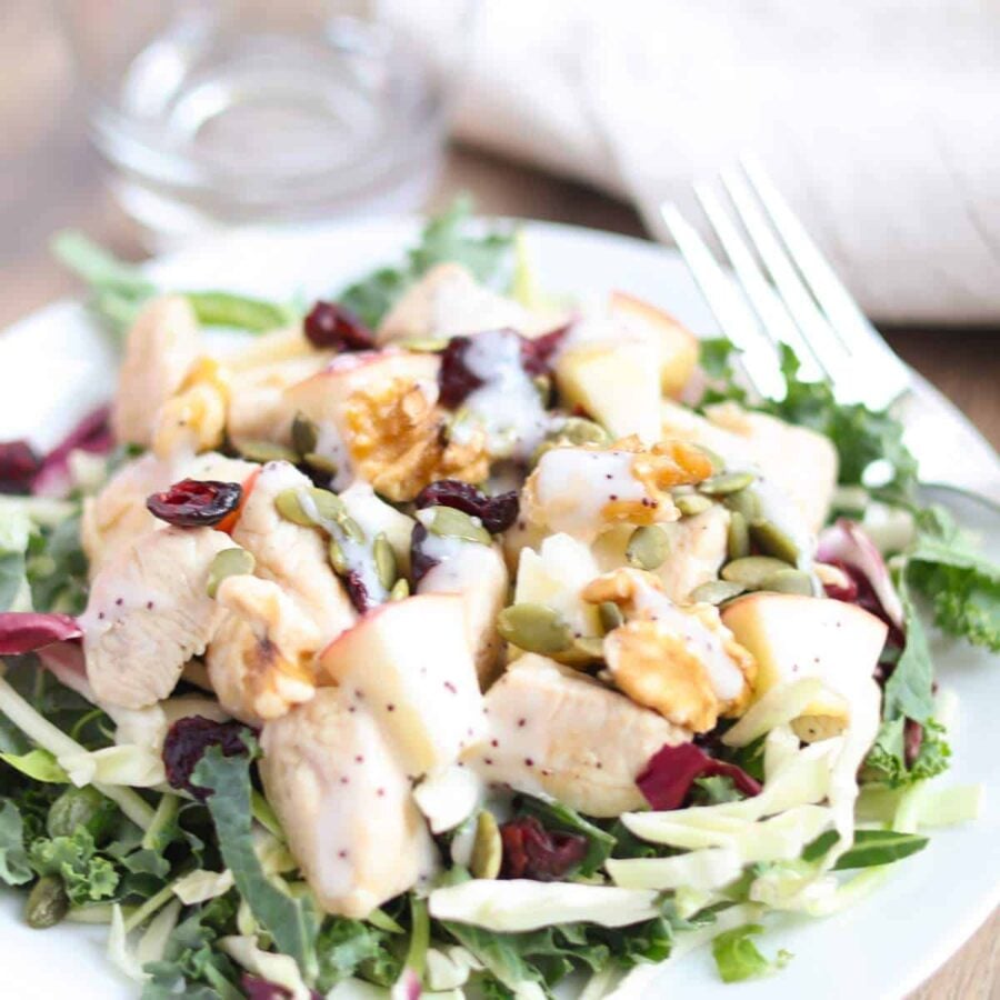 Crunchy Kale Chicken Salad Recipe with Cranberries