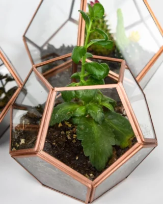 Who knew making your own terrarium could be so easy and fun? 🏡💛💫

Copper + Greenery = instant home upgrade!

They were easy to make and only took about 20 minutes each—spread out over a day (for drying time). 

https://livelikeyouarerich.com/diy-copper-geo-terrariums/
