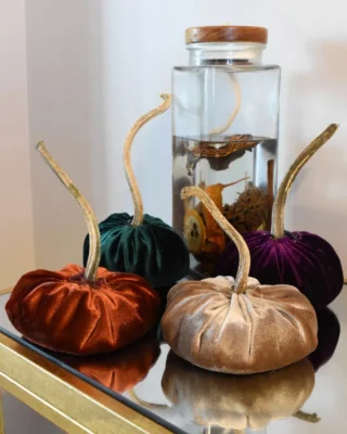 Velvet pumpkins = fall vibes on a budget! 🍁✨ Get creative and crafty with this simple DIY project! 🎃✨

Share this with your friends.

https://livelikeyouarerich.com/diy-fall-velvet-pumpkins/