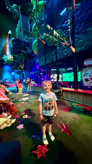 Throw a dino party that is quick, inexpensive, easy and fun and kids have a blast.! 🦕🥳

Check out how here 👇👇👇

https://livelikeyouarerich.com/simple-and-quick-dino-party/